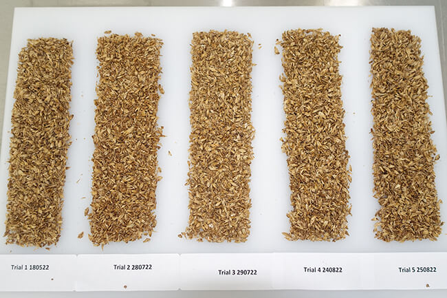 Processed spent grain