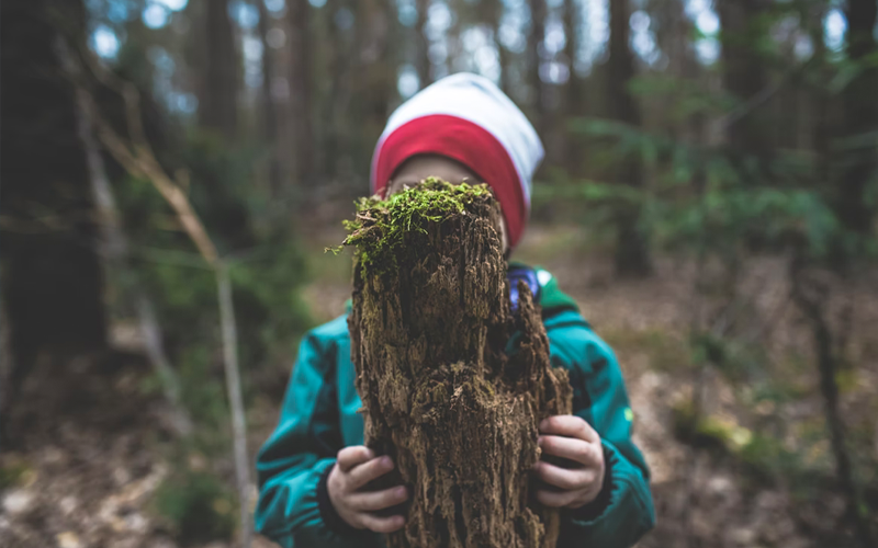 Young child hiding behind a tree stump